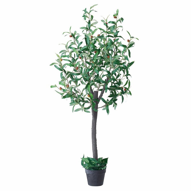 ストア・エキスプレス 人工樹木　オリーブ H150cm 61-655-55-3 1台（ご注文単位1台）【直送品】