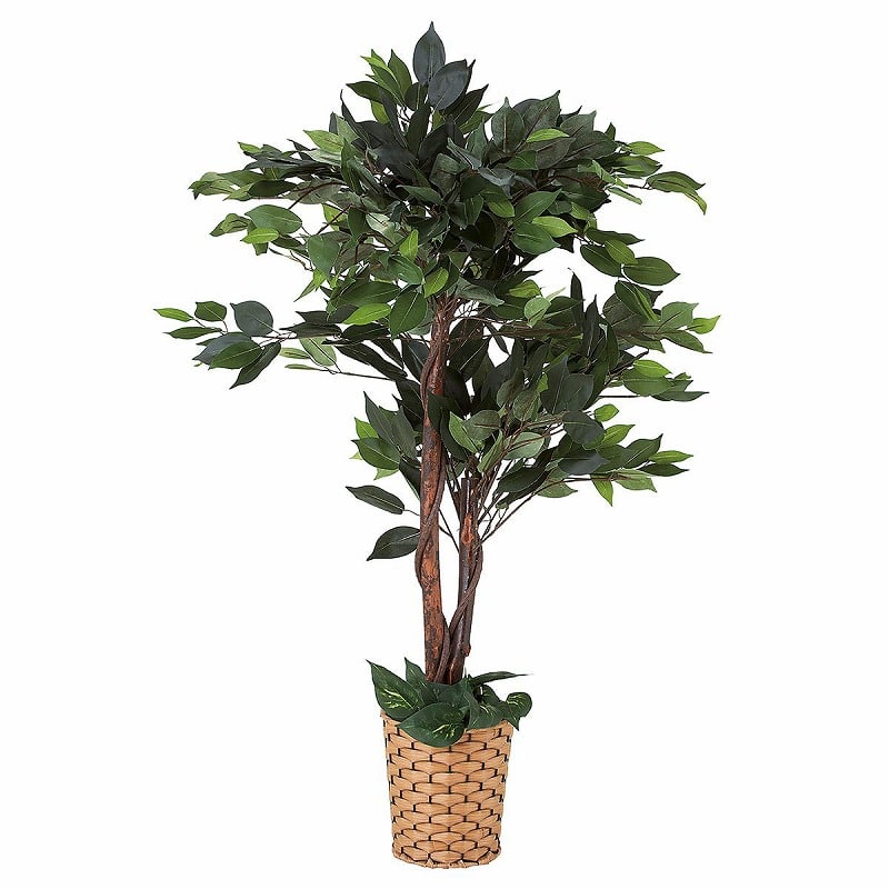 ストア・エキスプレス 人工樹木　ベンジャミンダブル H110cm 61-173-4-3 1台（ご注文単位1台）【直送品】