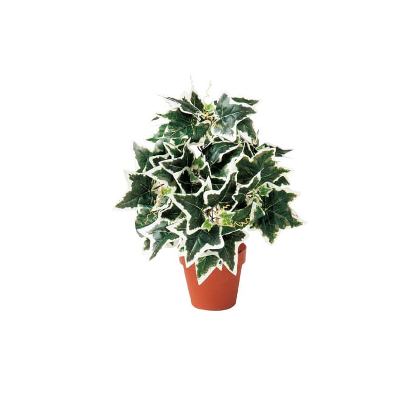 ストア・エキスプレス グリーンブッシュポット 3種アソート 61-174-11-1 3個 1セット(ご注文単位1セット)【直送品】