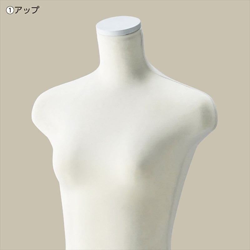 ストア・エキスプレス 婦人ニット張トルソー ベース白 61-177-1-1 1台(ご注文単位1台)【直送品】