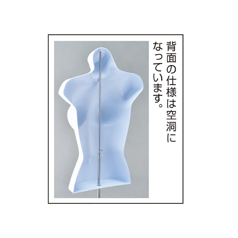 ストア・エキスプレス 紳士卓上ハーフトルソー 白 腕無し 61-752-72-2 1台(ご注文単位1台)【直送品】