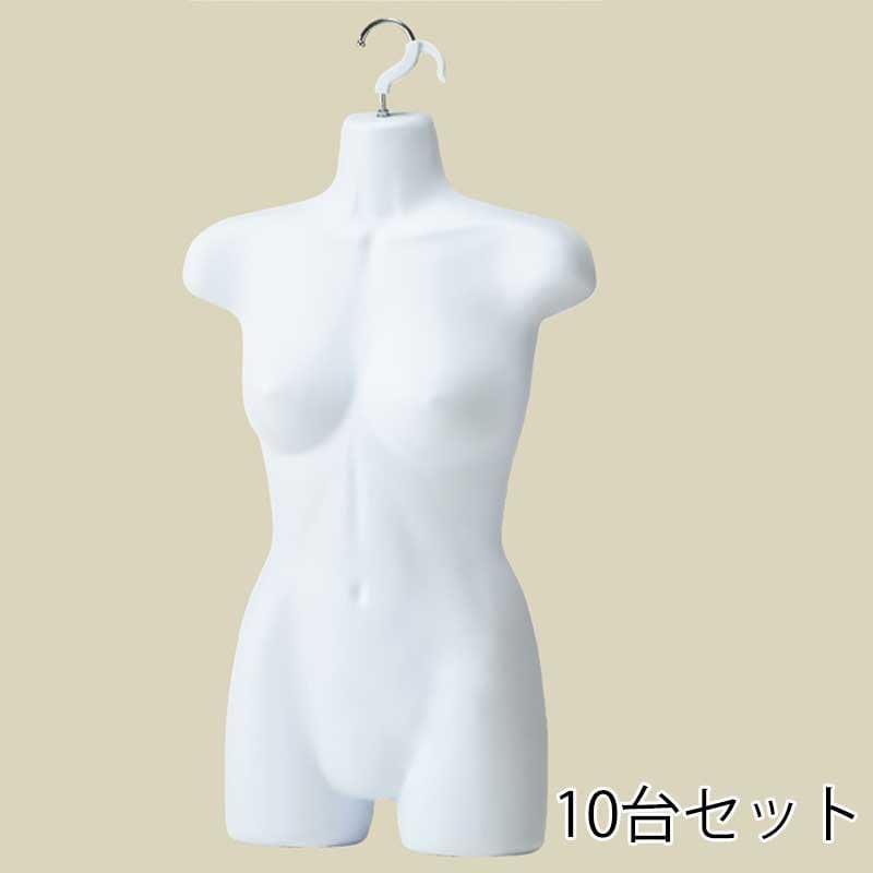 ストア・エキスプレス 婦人前面ハーフトルソー　白 つや消しタイプ 61-752-74-4　10台 1セット（ご注文単位1セット）【直送品】