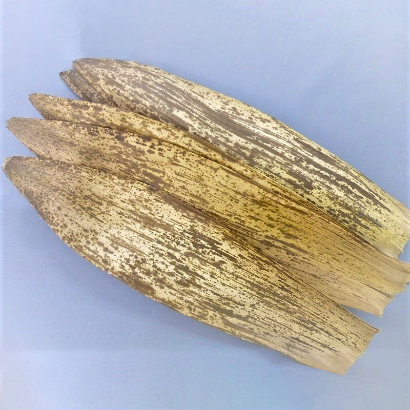 カトウ物産 天然竹皮　長さ50～55cm　巾14～16cm 9309 1kg/1パック （ご注文単位1パック）【直送品】