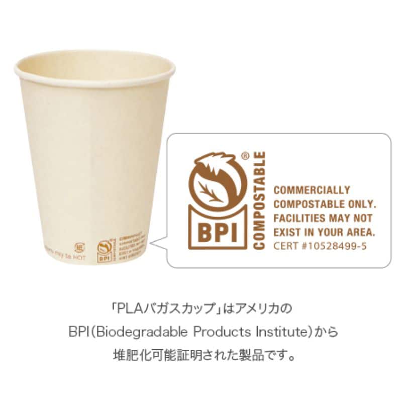 PLAバガスカップ 8oz ナチュラルCG 1000個/箱（ご注文単位1箱）【直送品】