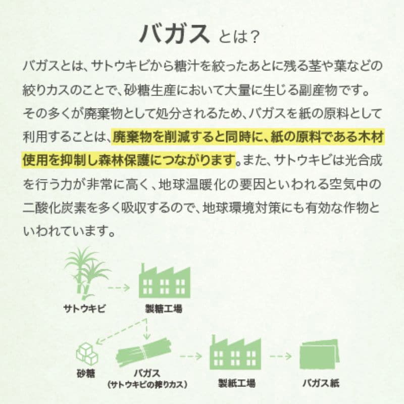 PLAバガスカップ 8oz ナチュラルCG 1000個/箱（ご注文単位1箱）【直送品】