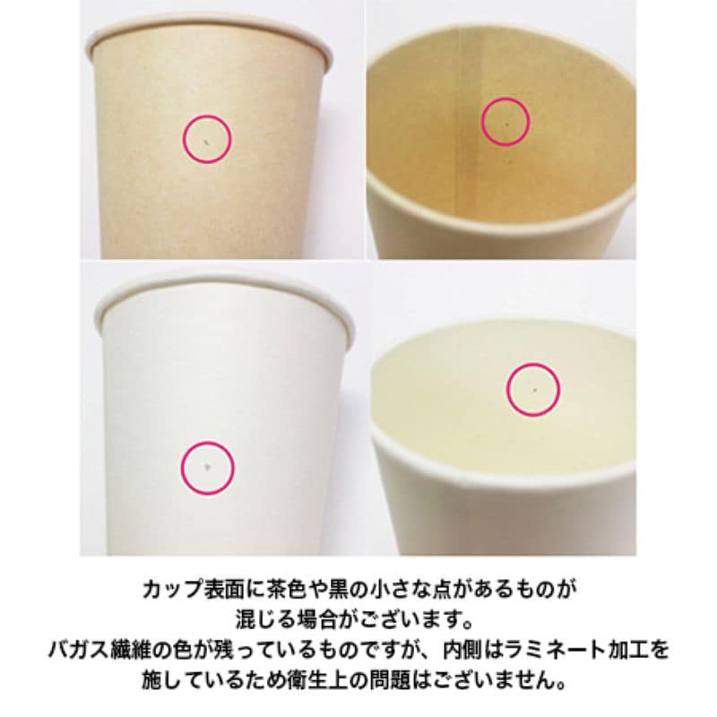 PLAバガスカップ 8oz ナチュラルCG 1000個/箱（ご注文単位1箱）【直送品】