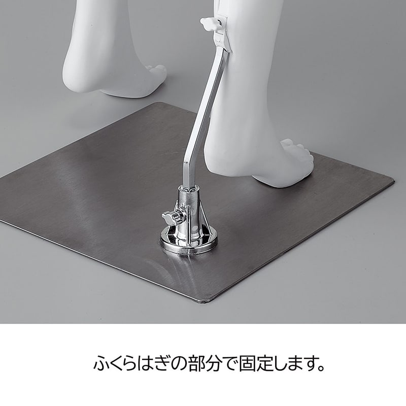ストア・エキスプレス 婦人リアルマネキン PP製 9号 ホワイト 61-810-38-1 1台（ご注文単位1台）【直送品】