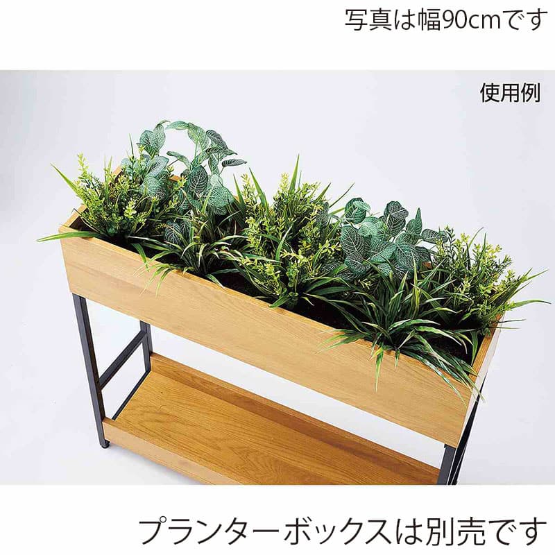 ストア・エキスプレス プランターボックス専用植栽 幅60cm 61-830-75-1 1個(ご注文単位1個)【直送品】