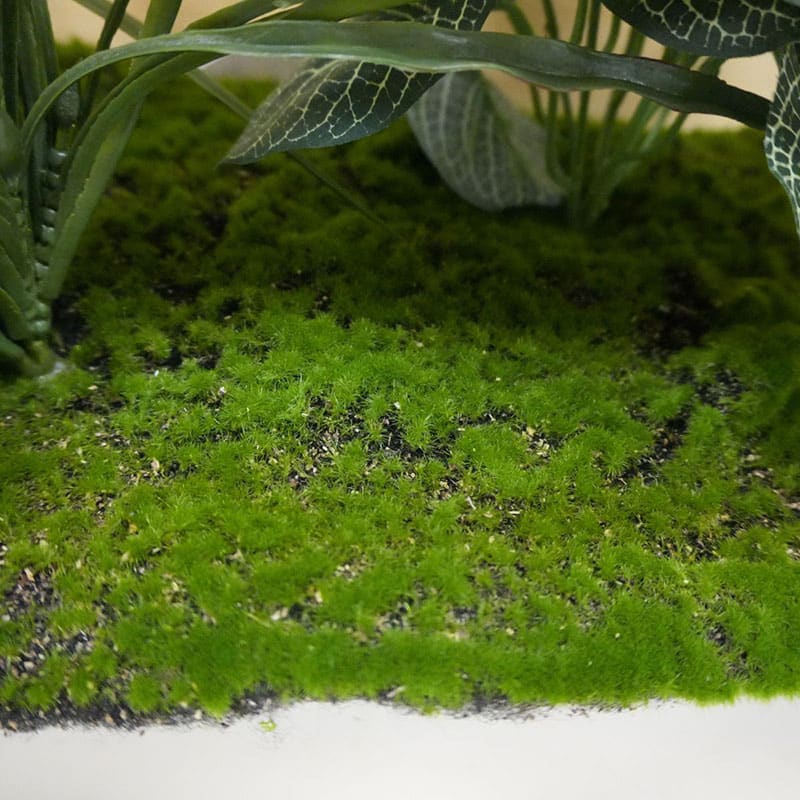 ストア・エキスプレス プランターボックス専用植栽 幅90cm 61-830-75-2 1個（ご注文単位1個）【直送品】
