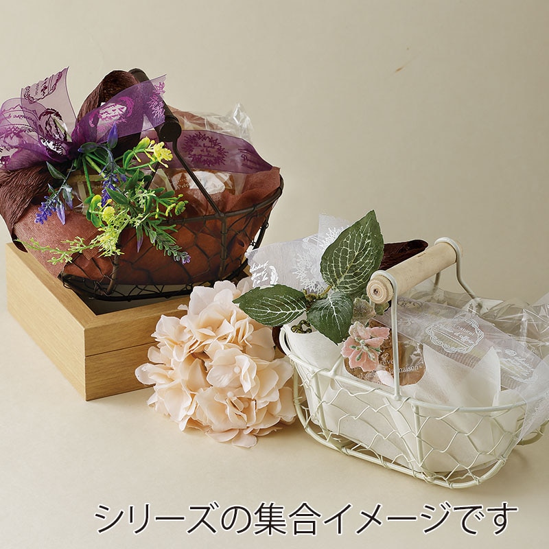 CA-GO(石渡) ワイヤーバスケット フェンスブラン 123651 1個(ご注文単位6個)【直送品】