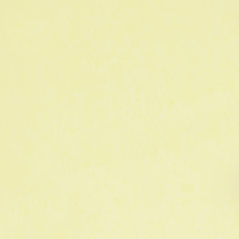 福重 食品包装シート カラペ 150角 カナリア 6015003 1束(ご注文単位1束)【直送品】