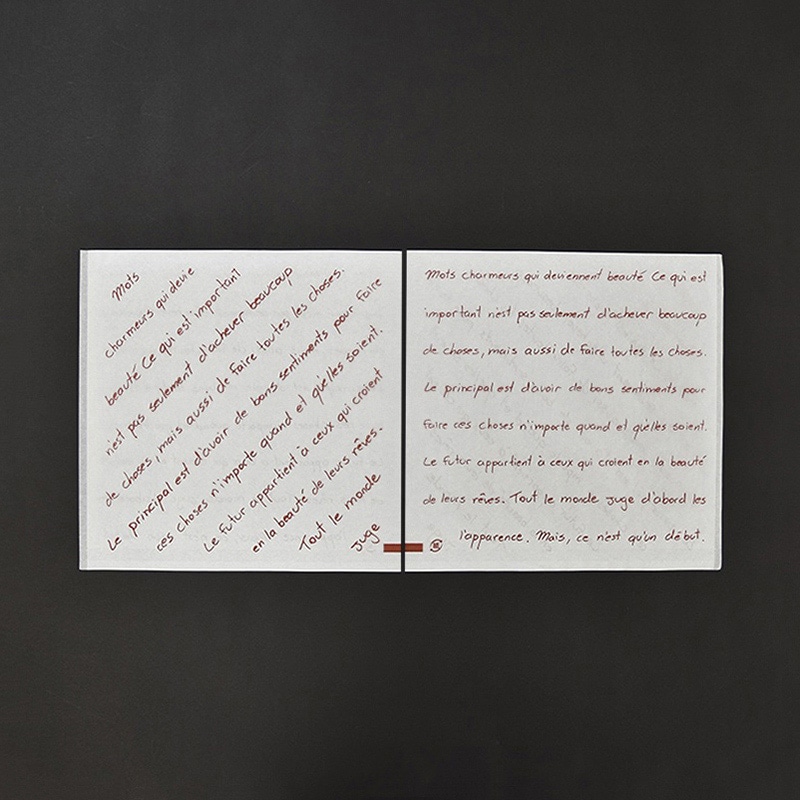 パケドゥソレイユ バーガー紙袋 L フランセ 15148 1セット(ご注文単位1セット)【直送品】