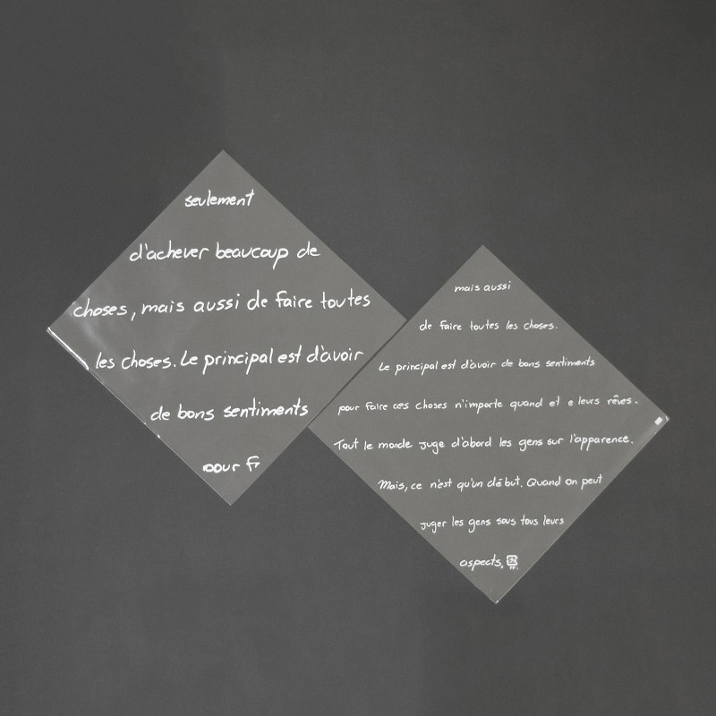 パケドゥソレイユ OPPバーガー袋 L フランセ 11214 1セット(ご注文単位1セット)【直送品】