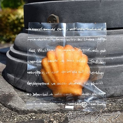 パケドゥソレイユ ガスバリア袋 100×120 フランセ 40069 1セット（ご注文単位1セット）【直送品】