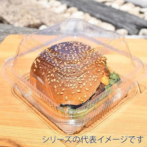 パケドゥソレイユ 食品容器 FKパック BK-115 30145 1セット（ご注文単位1セット）【直送品】