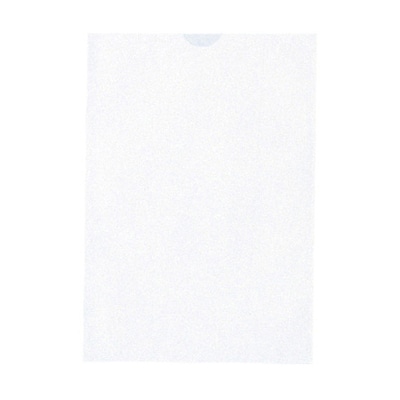 プリンター薬袋　無地　500302　B6 2000枚  1箱（ご注文単位1箱）【直送品】