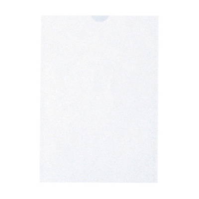 プリンター薬袋　無地　500303　A5 2000枚  1箱（ご注文単位1箱）【直送品】