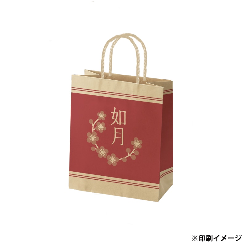 【オリジナル印刷】スムースB22-12 未晒100g(茶) ベタ印刷あり1色印刷 3000枚 オプション PP紐カラー ニス 3000枚