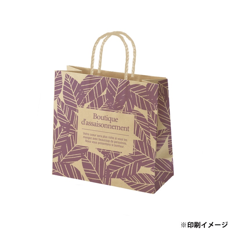 【オリジナル印刷】スムースB26-16 未晒120g(茶) ベタ印刷あり1色印刷 3000枚 オプション PP紐カラー ニス 3000枚