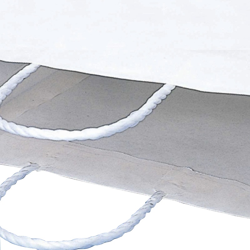 【オリジナル印刷】スムースBS-100 片艶・晒120G ベタ印刷なし2色印刷 1000枚 オプション なし 1000枚