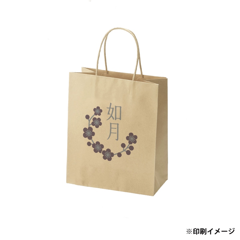 【オリジナル印刷】スムースB22－12　未晒100g（茶） ベタ印刷なし2色印刷　3000枚 オプション　なし 3000枚