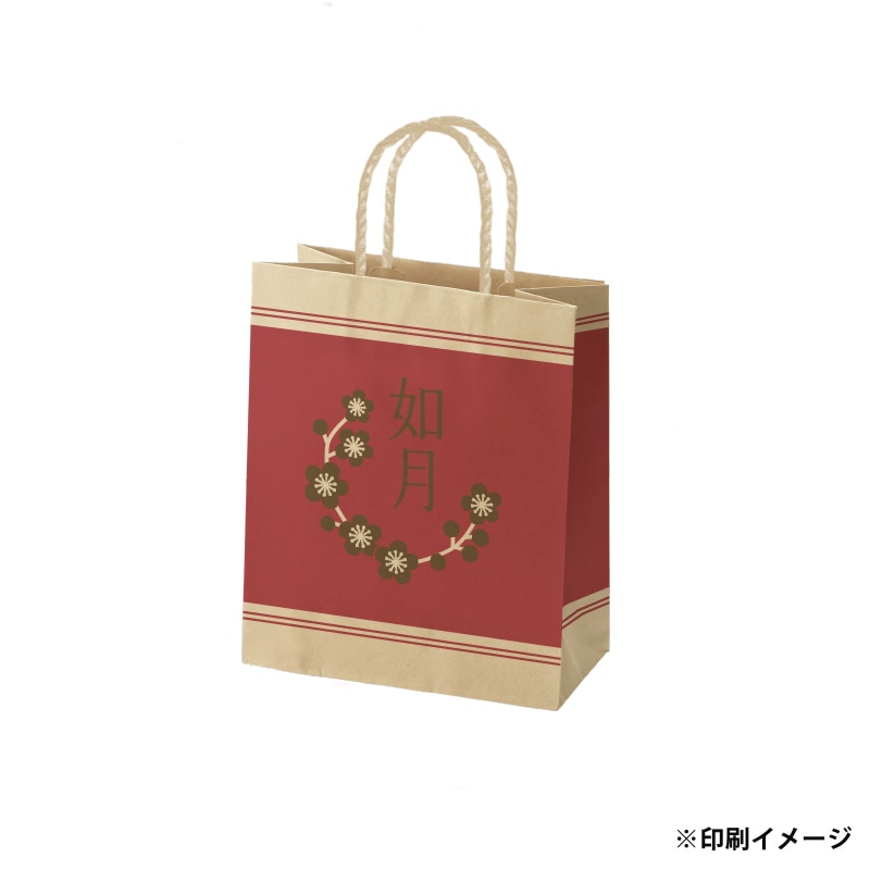 【オリジナル印刷】スムースB22-12 未晒100g(茶) ベタ印刷あり2色印刷 3000枚 オプション PP紐カラー ニス 3000枚