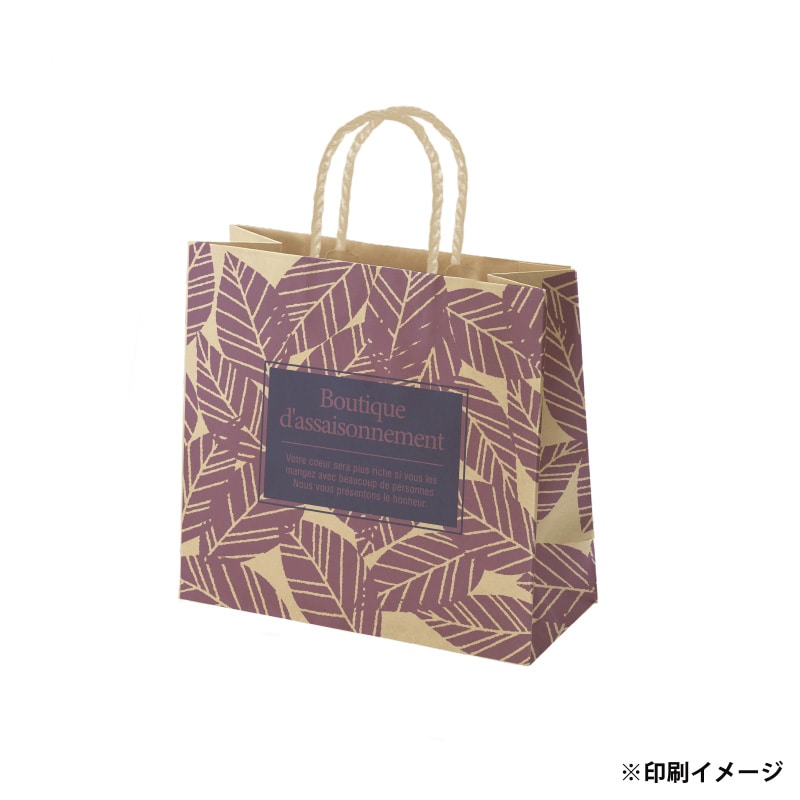 【オリジナル印刷】スムースB26-16 未晒120g(茶) ベタ印刷あり2色印刷 3000枚 オプション PP紐カラー ニス 3000枚