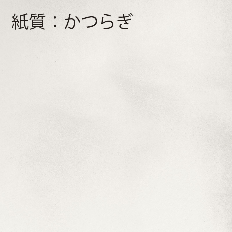 【オリジナル印刷】フルカラー印刷箸袋 5型6寸 かつらぎ60裏刷り 1万枚 ベタ印刷なし 10000枚