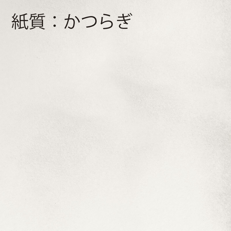 【オリジナル印刷】フルカラー印刷箸袋 5型ハカマ　かつらぎ60裏刷り　1万枚 ベタ印刷なし 10000枚