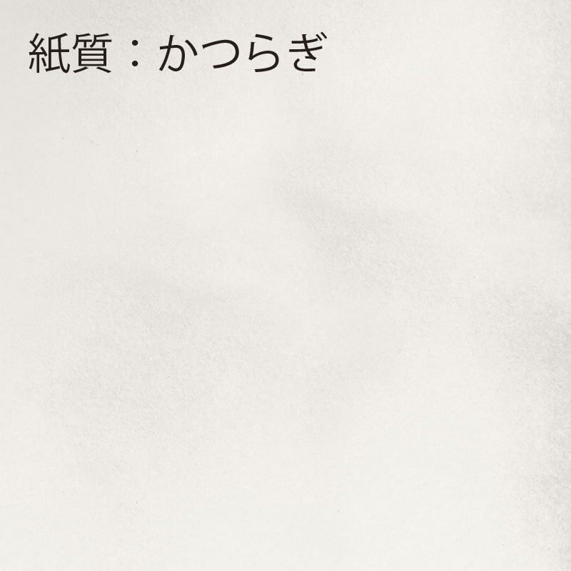 【オリジナル印刷】フルカラー印刷箸袋 5型ハカマ かつらぎ60裏刷り 2万枚 片面ベタ印刷あり 20000枚