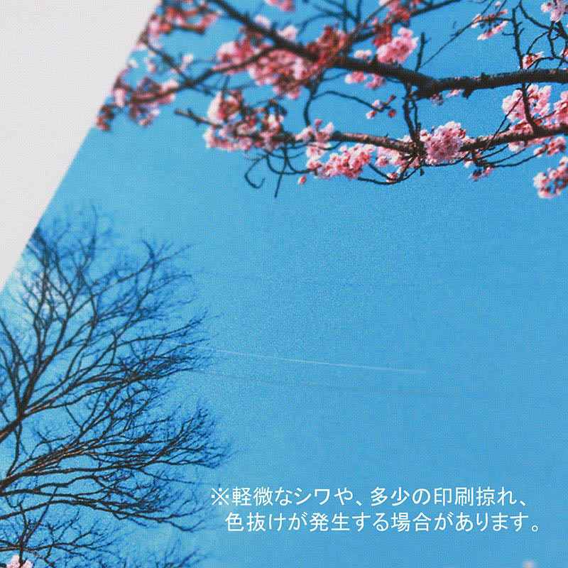 【オリジナル印刷】平袋 Mサイズ 1000枚 オンデマンドフルカラー両面印刷