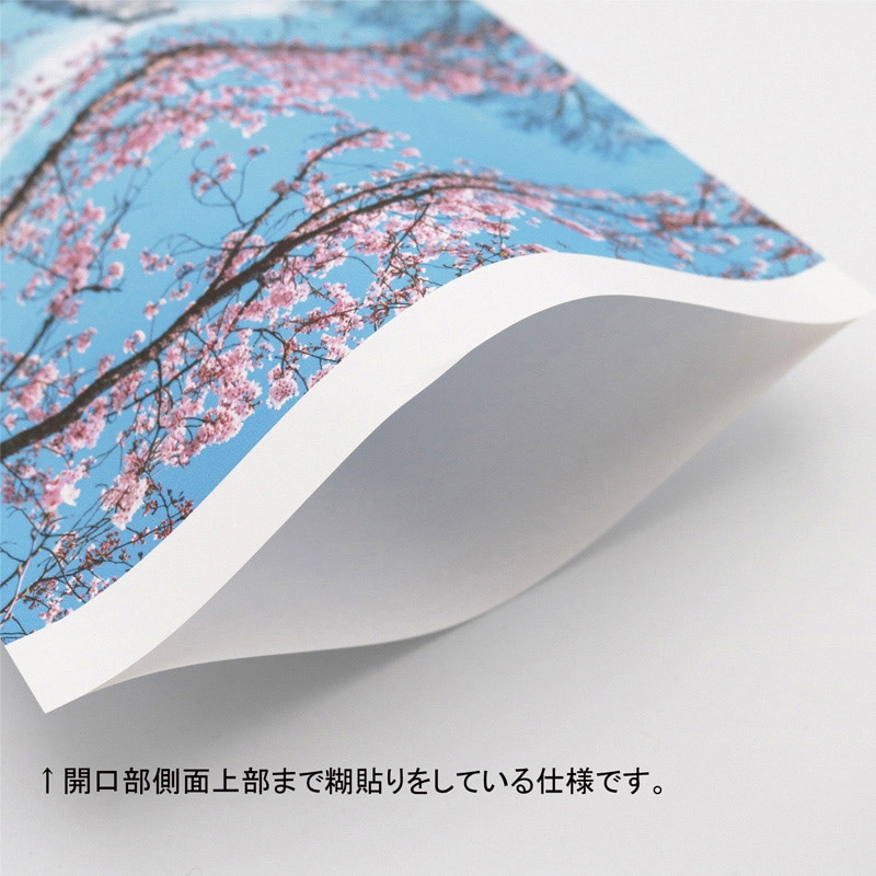 【オリジナル印刷】平袋 Lサイズ　4000枚 オンデマンドフルカラー両面印刷