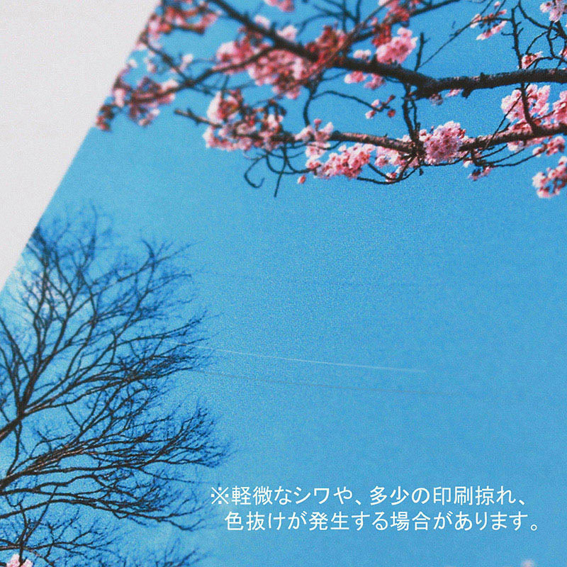 【オリジナル印刷】平袋 Lサイズ　4000枚 オンデマンドフルカラー両面印刷