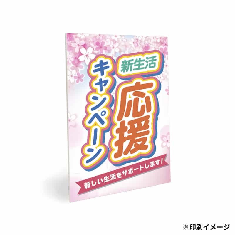 【オリジナル印刷】スチレンボード B5 フルカラー印刷 10枚