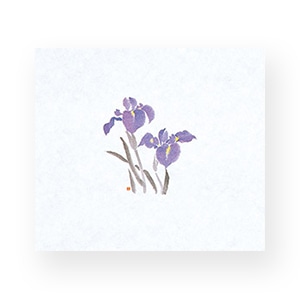 マイン 敷紙 鮮度保持紙 大 あやめ 100枚入 M30-091 1束（ご注文単位1束）【直送品】