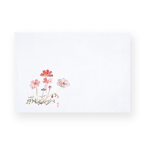 マイン 敷紙 四季紙 富久寿 尺5 秋桜 100枚入 M30-320 1束(ご注文単位1束)【直送品】