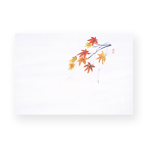 マイン 敷紙 四季紙 富久寿 尺5 もみじ 100枚入 M30-322 1束(ご注文単位1束)【直送品】