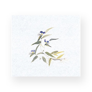 マイン 敷紙 鮮度保持紙 大 つゆくさ 100枚入 M30-355 1束（ご注文単位1束）【直送品】