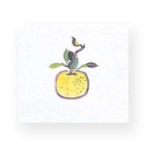 マイン 敷紙 鮮度保持紙 大 ゆず 100枚入 M30-361 1束（ご注文単位1束）【直送品】