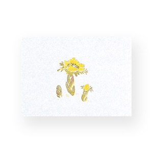 マイン 敷紙 鮮度保持紙 小 福寿草 100枚入 M30-362 1束（ご注文単位1束）【直送品】