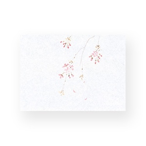 マイン 敷紙 鮮度保持紙 小 桜 100枚入 M30-364 1束（ご注文単位1束）【直送品】
