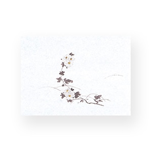 マイン 敷紙 鮮度保持紙 小 菊 100枚入 M30-374 1束（ご注文単位1束）【直送品】