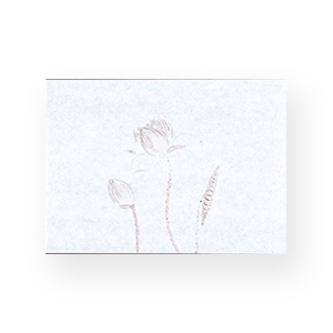 マイン 敷紙 鮮度保持紙 小 はす 100枚入 M30-379 1束（ご注文単位1束）【直送品】