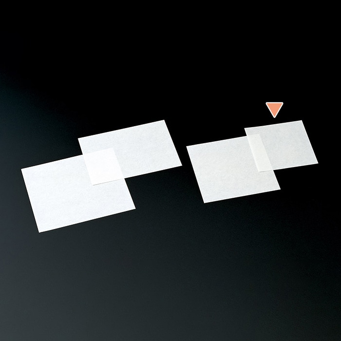 マイン 敷紙 鮮度保持紙 12角 100枚入 M33-017 1束(ご注文単位1束)【直送品】