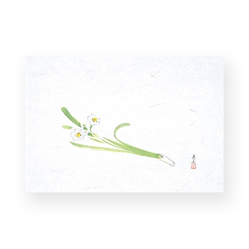 マイン 敷紙 四季紙 萬寿 水仙 100枚入 M33-107 1束(ご注文単位1束)【直送品】