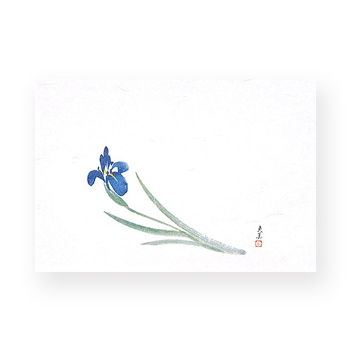 マイン 敷紙 四季紙 萬寿 あやめ 100枚入 M33-112 1束(ご注文単位1束)【直送品】