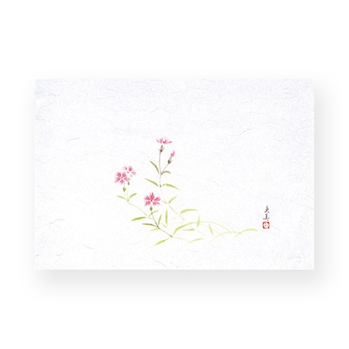 マイン 敷紙 四季紙 萬寿 なでしこ 100枚入 M33-117 1束(ご注文単位1束)【直送品】