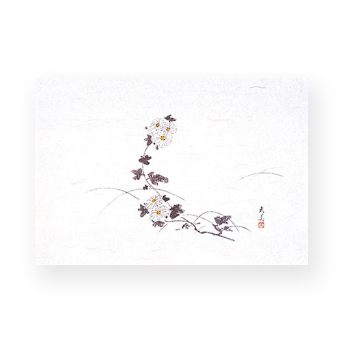 マイン 敷紙 四季紙 萬寿 菊 100枚入 M33-119 1束(ご注文単位1束)【直送品】