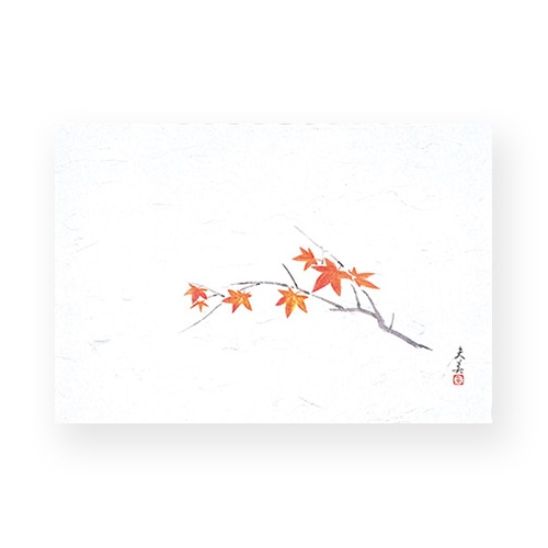 マイン 敷紙 四季紙 萬寿 もみじ 100枚入 M33-124 1束(ご注文単位1束)【直送品】