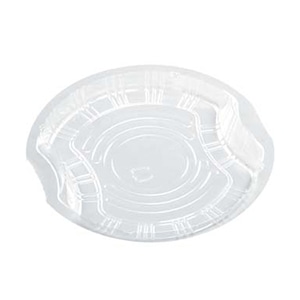 エフピコ フルーツ容器 APフルーツ 中皿 20 50枚/袋（ご注文単位32袋）【直送品】